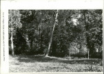 Ewidencja parkowa, skan nr 36