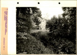 Ewidencja parkowa, skan nr 40