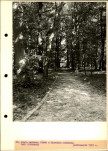 Ewidencja parkowa, skan nr 47