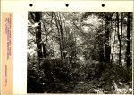 Ewidencja parkowa, skan nr 48
