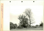 Ewidencja parkowa, skan nr 48