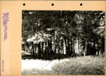 Ewidencja parkowa, skan nr 49