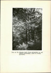Ewidencja parkowa, skan nr 39