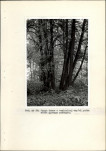 Ewidencja parkowa, skan nr 42
