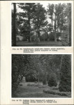 Ewidencja parkowa, skan nr 42