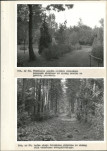 Ewidencja parkowa, skan nr 44