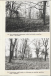 Ewidencja parkowa, skan nr 46
