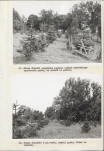 Ewidencja parkowa, skan nr 49