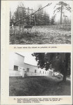 Ewidencja parkowa, skan nr 52