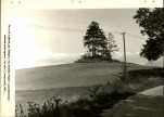 Ewidencja parkowa, skan nr 45