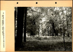 Ewidencja parkowa, skan nr 57
