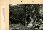 Ewidencja parkowa, skan nr 36