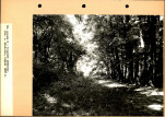 Ewidencja parkowa, skan nr 73