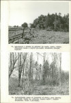Ewidencja parkowa, skan nr 33