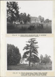 Ewidencja parkowa, skan nr 29