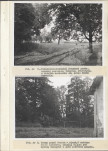 Ewidencja parkowa, skan nr 30