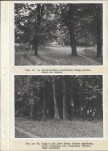 Ewidencja parkowa, skan nr 31