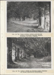 Ewidencja parkowa, skan nr 33