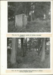 Ewidencja parkowa, skan nr 42