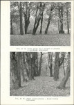 Ewidencja parkowa, skan nr 34