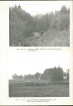Ewidencja parkowa, skan nr 38