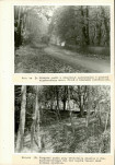 Ewidencja parkowa, skan nr 29