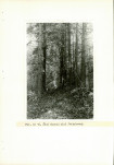 Ewidencja parkowa, skan nr 33