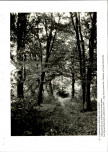 EP - Ewidencja parkowa, skan nr 48