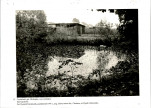 EP - Ewidencja parkowa, skan nr 50