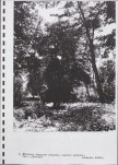 Ewidencja parkowa, skan nr 29