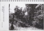 Ewidencja parkowa, skan nr 32