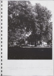 Ewidencja parkowa, skan nr 52