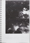 Ewidencja parkowa, skan nr 53