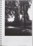 Ewidencja parkowa, skan nr 56