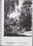 Ewidencja parkowa, skan nr 38