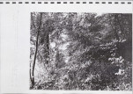 Ewidencja parkowa, skan nr 60