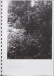 Ewidencja parkowa, skan nr 61