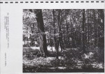 Ewidencja parkowa, skan nr 46