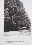 Ewidencja parkowa, skan nr 48