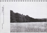 Ewidencja parkowa, skan nr 49