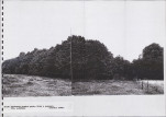 Ewidencja parkowa, skan nr 50