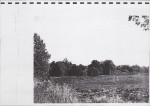 Ewidencja parkowa, skan nr 72