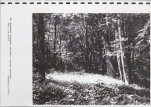 Ewidencja parkowa, skan nr 51