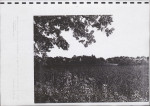 Ewidencja parkowa, skan nr 74