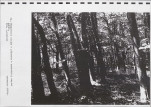 Ewidencja parkowa, skan nr 54