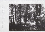 Ewidencja parkowa, skan nr 56