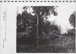 Ewidencja parkowa, skan nr 63