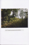 Ewidencja parkowa, skan nr 32