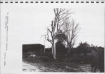 Ewidencja parkowa, skan nr 68