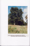 EP - Ewidencja parkowa, skan nr 61